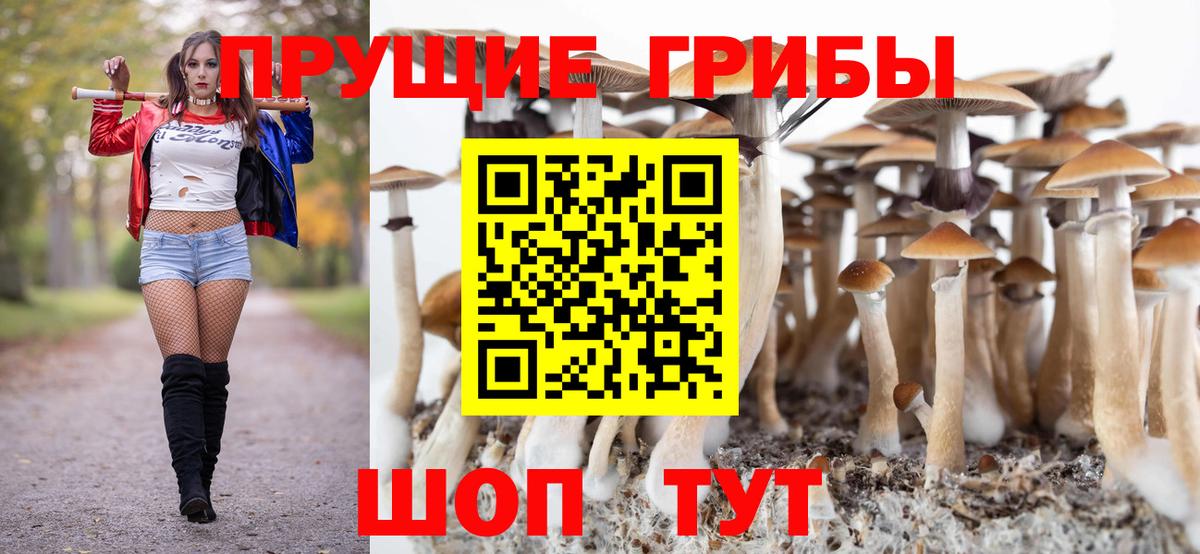 Псилоцибиновые грибы MAGIC MUSHROOMS  цены   Махачкала  Вход с VPN 